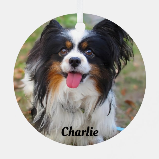 Personalized Tri Colour Papillon Puppy Dog Metal Ornament (Back)