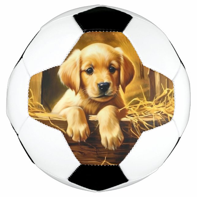 Personalized Trophy Soccer Ball (Front)