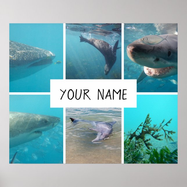 Personalized Underwater Animals Australia Poster (Front)