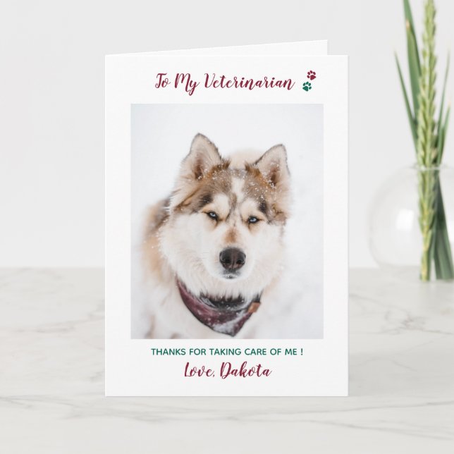 Personalized Veterinarian Pet Care Pet Photo Holiday Card (Front)