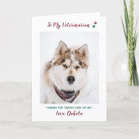 Personalized Veterinarian Pet Care Pet Photo