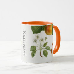 Personalized Vintage Botanical Pear Blossom Fruit Mug
