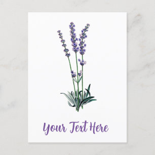 Personalized Vintage Lavender Flower Postcard