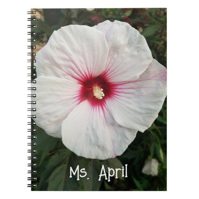 Personalized Vivid Hibiscus Floral Closeup  Notebook (Front)