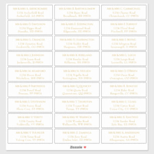 Personalized Wedding Envelope Address Labels  
