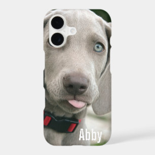 Personalized Weimaraner Dog Photo and Dog Name