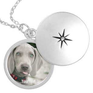 Personalized Weimaraner Dog Photo and Dog Name Silver Plated Necklace