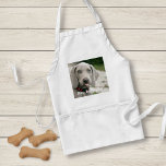 Personalized Weimaraner Dog Photo and Dog Name Standard Apron<br><div class="desc">Personalized Weimaraner Dog Photo and Weimaraner Dog Name design features an uploaded photo of your Weimaraner (or any photo) the dog's name or add your own text - We love "dog's name", dog's birthday or day of passing. Just click on "customize" to add your personalized text, change the font and...</div>