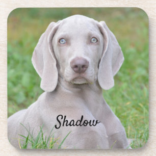 Personalized Weimaraner Puppy Dog Coaster
