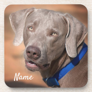 Personalized Weimaraner Puppy Dog Coaster
