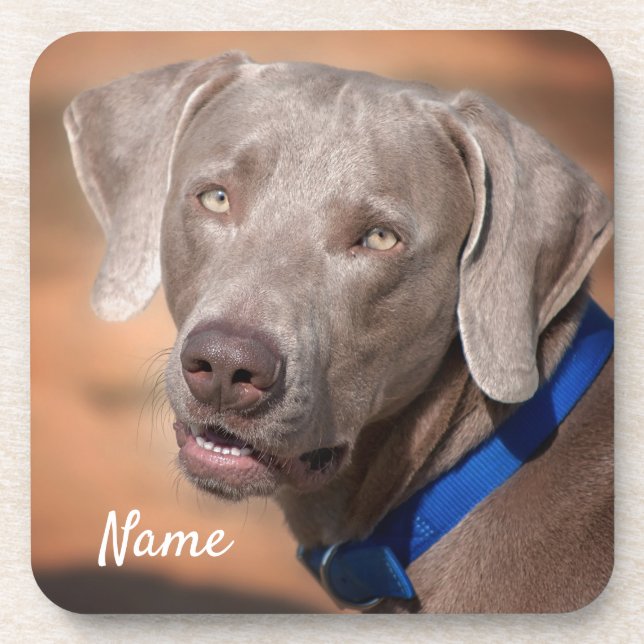Personalized Weimaraner Puppy Dog Coaster (Front)