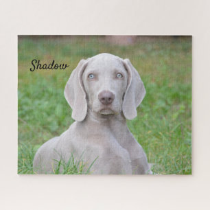 Personalized Weimaraner Puppy Dog Jigsaw Puzzle