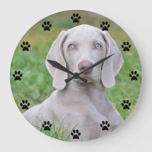 Personalized Weimaraner Puppy Dog Paw Print Time Large Clock