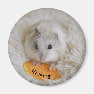 Personalized White Dwarf Hamster Pet Magnet