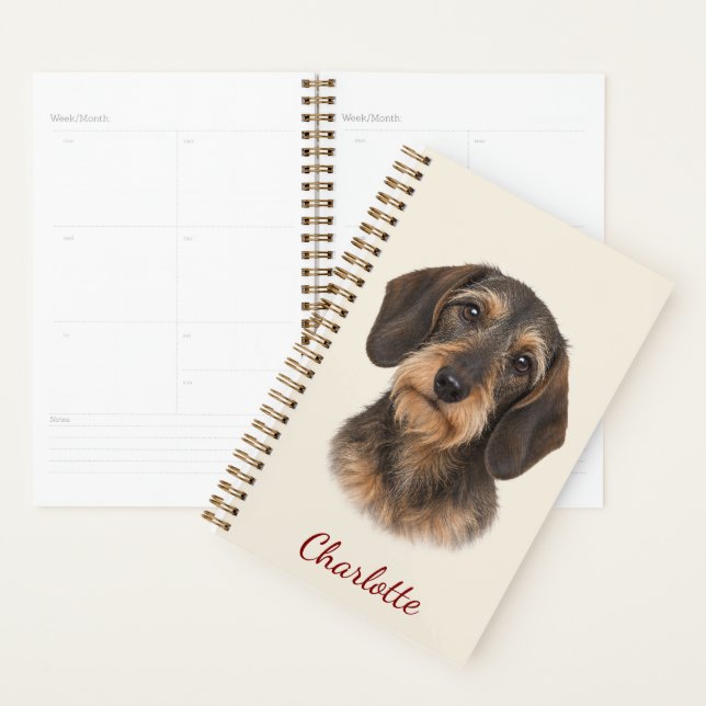 Personalized Wire-Haired Dachshund with Name Planner (Display)