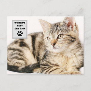 Personalized World's Best Cat Dad Custom Photo Holiday Postcard