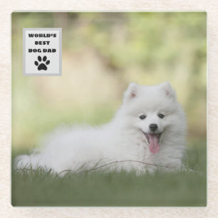 Personalized World's Best Dog Dad Custom Photo Glass Coaster