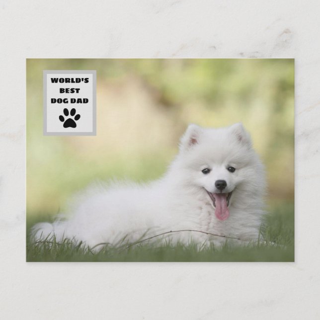 Personalized World's Best Dog Dad Custom Photo Holiday Postcard (Front)
