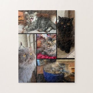 Personalized Your 5 Photo Puzzle Persian Cat