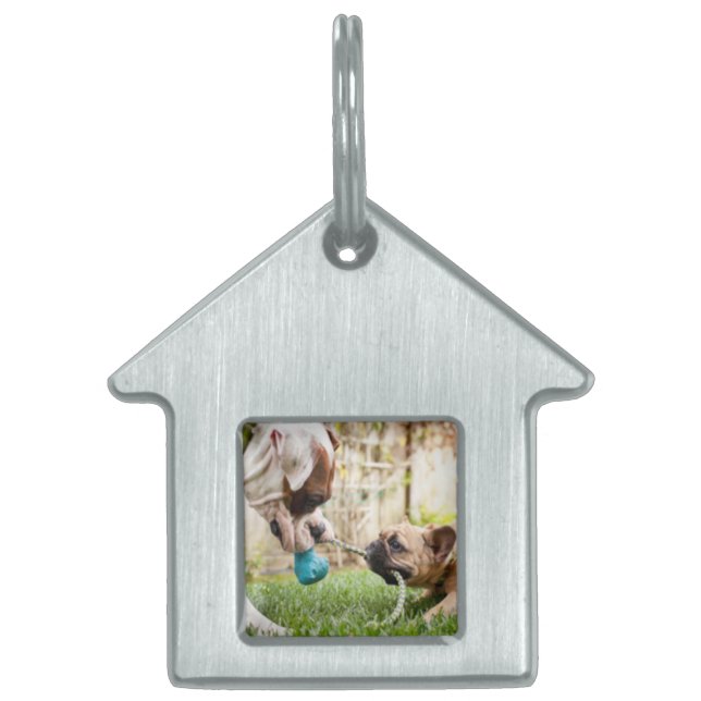 Personalized Your Pet Dog Cat Photo Picture Image  ID Tag (Front)