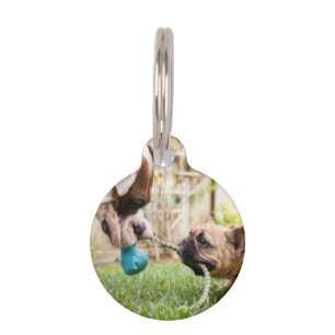 Personalized Your Pet Picture Photo Image Cute Tag