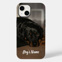 Personalized your Rottweiler Dog Photo & Name