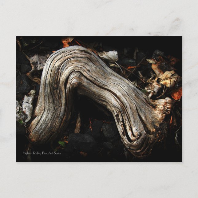 Personification of Persephone postcard (Front)