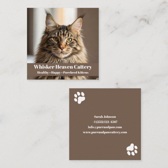 Personnalisable Carte de visite de batterie avec p (Devant / Derrière)