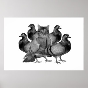 Personnalisable Chat parmi les Pigeons Poster