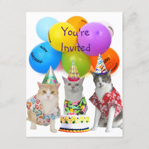 Personnalisable Funny Cats Invitation à la fête d'