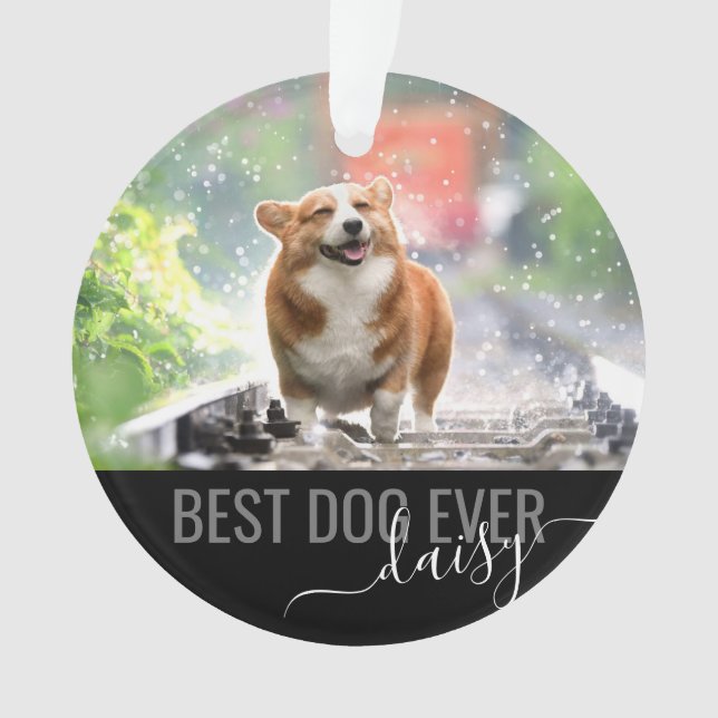 Personnalisé Animaux de compagnie Meilleur Chien J (devant)