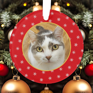 Personnalisé Animaux de famille Photos Noël