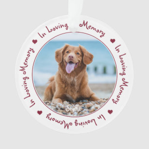 Personnalisé En Mémoire Amoureuse Photo Pet Memori
