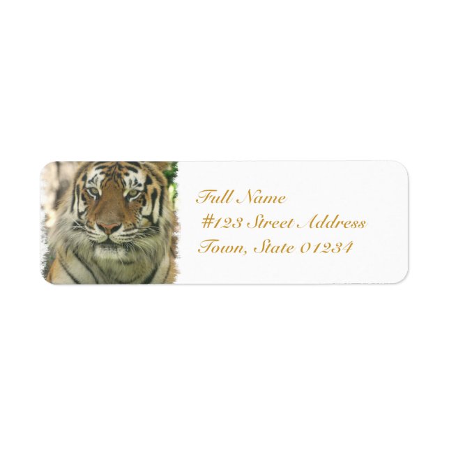 Personnaliser (Devant)