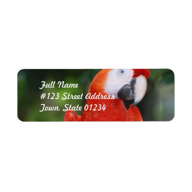 Personnaliser (Devant)