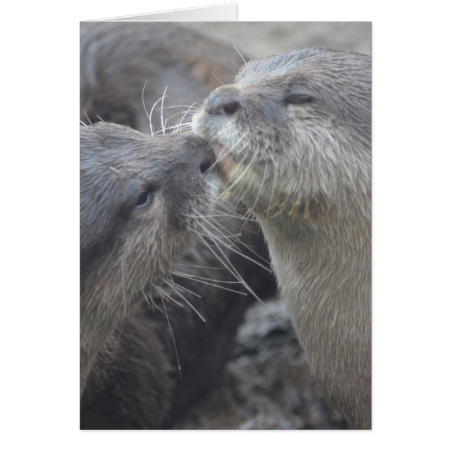 Personnaliser (Devant)