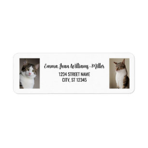 Personnaliser 2 photos avec Cat Modern Adresse de