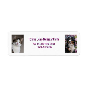 Personnaliser 2 Photos Chat Chien moderne Adresse 