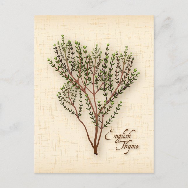 Personnaliser Anglais Carte postale Herbe de thym (Devant)