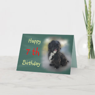 Personnaliser De Carte Tzu Apso-Shih Shorty Lhasa