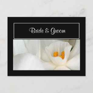 Personnaliser Enregistrer les cartes postales Date