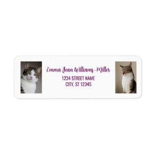 Personnaliser les photos avec Cat Modern Adresse d