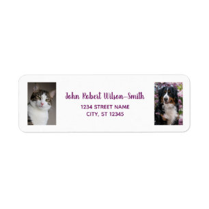 Personnaliser Photos Chat Chien moderne Adresse de