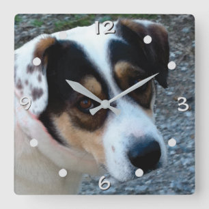 personnalisez avec votre propre horloge murale pou