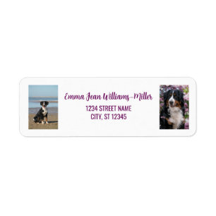 Personnalisez les photos avec une adresse de retou