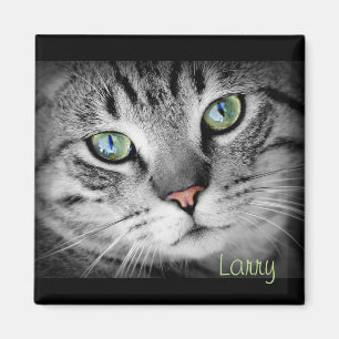 Personnalisez un aimant avec votre animal familier