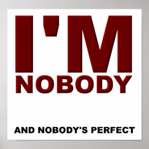 Personne n'est parfait Poster drôle