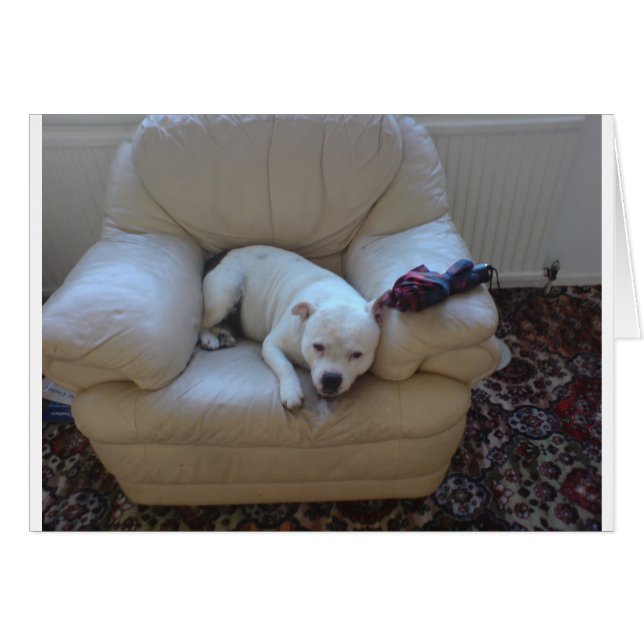 Personnel mignon (Devant horizontal)