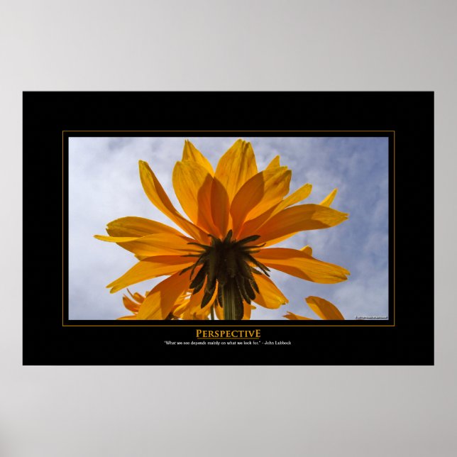 Perspective Poster (Front)