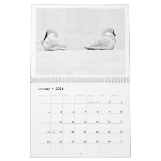 Perspectives de la nature - Calendrier mural 2026
